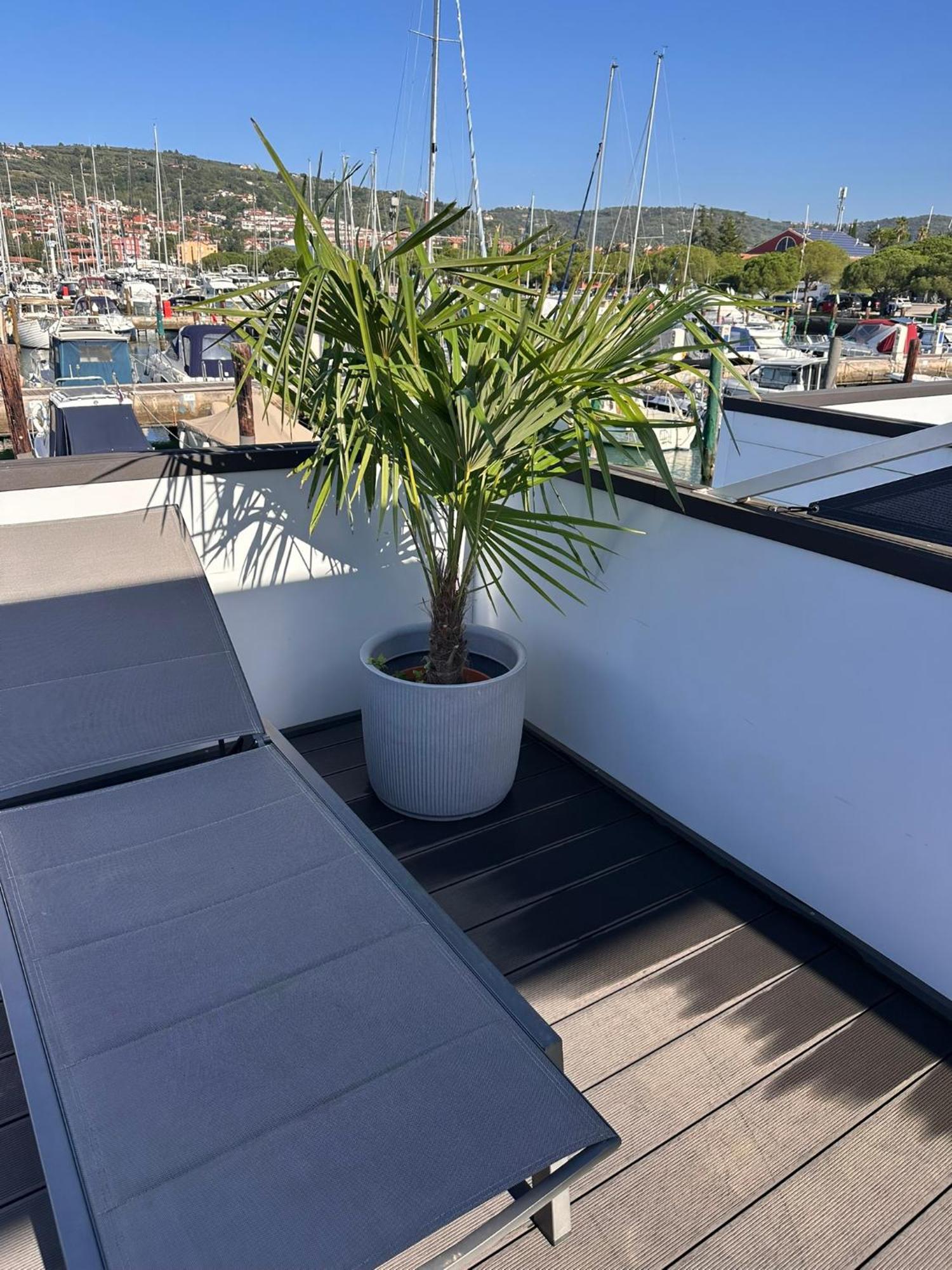 Floating House - Marina Pearl Leilighet Portorož Eksteriør bilde